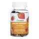 Immune Support Adult - 60 gummies pre_2023-10-7274 фото 1
