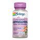 Ashwaganda Root Extract 470mg - 60vcaps