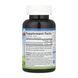 Chelated Iron - 250 tabs 2023-10-4570 фото 2